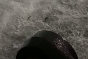 Давно не было суровой Воркуты
Так там выгуливают котов