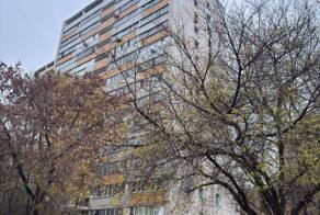 ️«История», ставшая уголовным делом, произошла в столичном районе Можайский