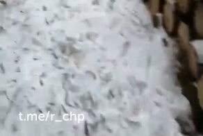 Якутский охотник расскажет вам, как приехал к себе на зимовье и обнаружил, что медведь превратил его в берлогу