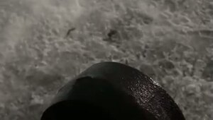 Давно не было суровой Воркуты
Так там выгуливают котов