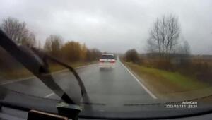 Центровой
В районе города Струнино (Владимирская область), 13 октября