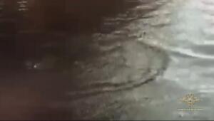 Поехал как в речку, но очень затейливым способом
Любитель острых ощущений из Химок зайцем пробрался в метро на станции "Технопарк", забрался на крышу поезда, а на Нагатинском мосту сиганул в Москву-реку