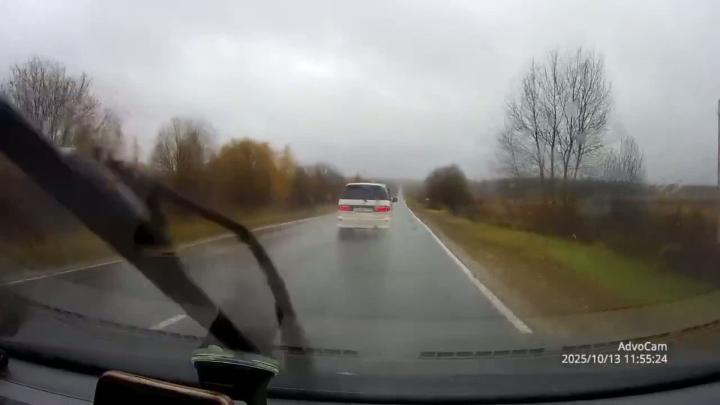 Центровой
В районе города Струнино (Владимирская область), 13 октября Центровой
В районе города Струнино (Владимирская область), 13 октября