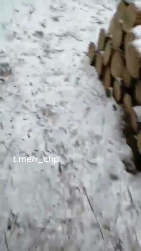 Якутский охотник расскажет вам, как приехал к себе на зимовье и обнаружил, что медведь превратил его в берлогу Якутский охотник расскажет вам, как приехал к себе на зимовье и обнаружил, что медведь превратил его в берлогу