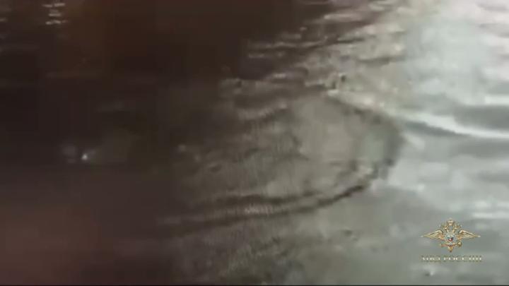 Поехал как в речку, но очень затейливым способом
Любитель острых ощущений из Химок зайцем пробрался в метро на станции "Технопарк", забрался на крышу поезда, а на Нагатинском мосту сиганул в Москву-реку Поехал как в речку, но очень затейливым способом
Любитель острых ощущений из Химок зайцем пробрался в метро на станции "Технопарк", забрался на крышу поезда, а на Нагатинском мосту сиганул в Москву-реку