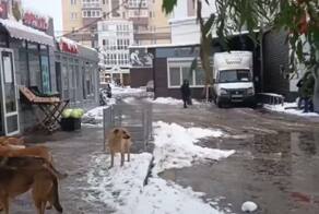 14 секунд Омска