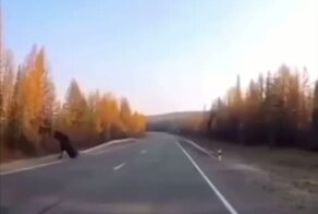 Хорошая реакция