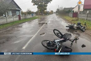  Брестская область