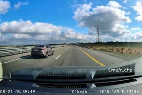 Летнее, но зрелищное из Ростовской области 

Автор опубликовал только вчера