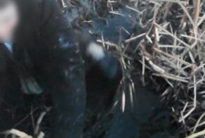 Барышни, а у вас были запоминающиеся девичники?