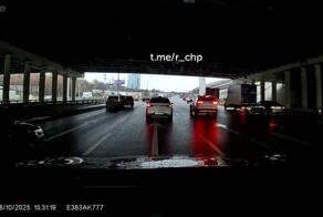 Забодай меня комар 