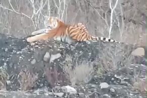 Доброе утро!