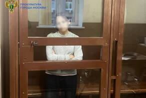 С учетом позиции прокуратуры московского метрополитена суд заключил под стражу 64-летнюю женщину, толкнувшую девочку на пути в столичной подземке