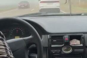 Пацаны и примкнувшая к ним барышня на заднем сиденье к успеху шли