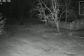 А у вас что в полночь во дворе?