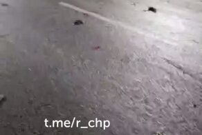 Замес на Южно-Лыткаринской автодороге

Подмосковье, вчера вечером