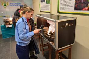 Межрайонная природоохранная прокуратура г