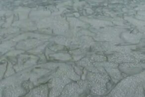 Скорей бы лёд встал