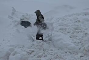 И о погоде

По-разному у нас в стране люди живут