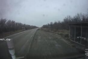 Не зря там знак с оленем-то поставили

Дон Газельеро на минувшей неделе открыл для себя бесплатный источник газа в Большеглушицком районе Самарской области