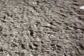 А не было ли у него умысла на теракт конфликт?