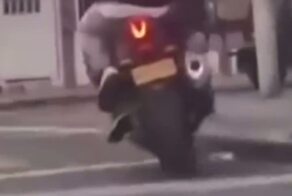  Тот самый случай, когда собака поступила умнее