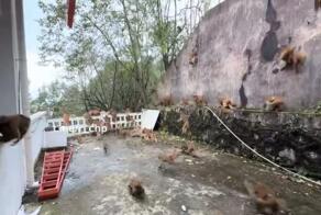 Надвигается что-то, приближается,  рядом оно - берегитесь!