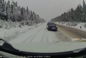 Ох, нелегкая это работа - эвакуировать бегемотов