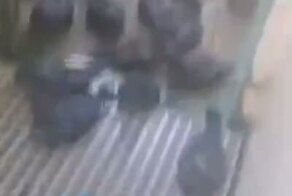 Начинается потихоньку Апокалипсис