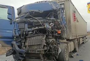 Убился о собрата