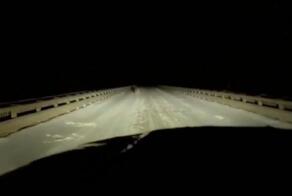 Котяра, яйца видишь висят