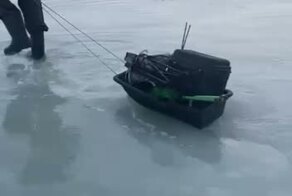 Не перестаю восхищаться отвагой