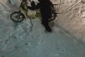 Довёл проклятый 