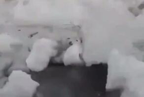 Красивое из Бурятии