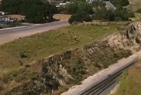 В США мотоциклист так сильно хотел сбежать от копов, что выполнил трюк в стиле ГТА