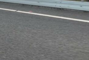 «Лежачие полицейские» в Австралии немного отличаются от наших