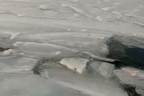 Никогда не было такого, и вот опять