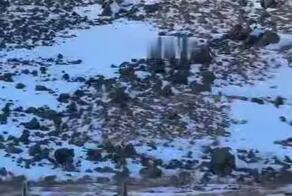 «Эээ, новая машина, не борщи»