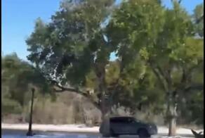 Красиво в Остине (Техас)!