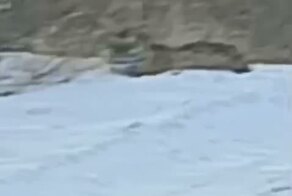 Попутку ждет, наверное