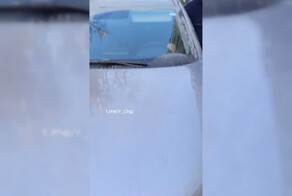 И в Новосибирск весна пришла