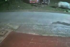 Надо заканчивать на сегодня