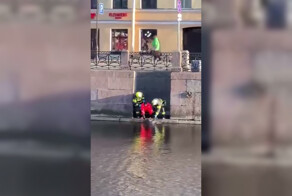 Воскресный день в Питере