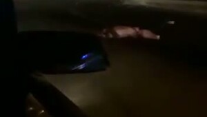 На Филиппинах мужчина оплакивал на дороге своего погибшего брата, когда в этот момент его сбил другой водитель на скорости 130 км/ч