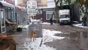14 секунд Омска