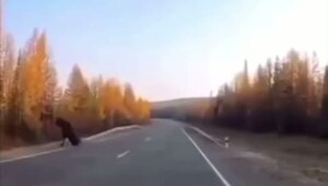 Хорошая реакция