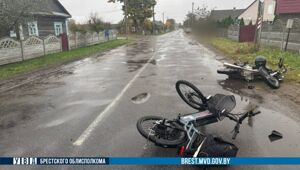  Брестская область