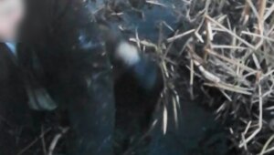 Барышни, а у вас были запоминающиеся девичники?