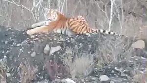 Доброе утро!