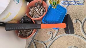 ️️Щербинская межрайонная прокуратура инициировала уголовное преследование в отношении мужчины, похитившего и убившего собаку

07 ноября т